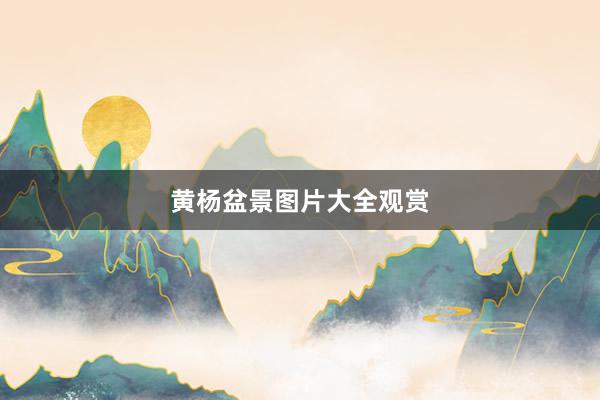 黄杨盆景图片大全观赏